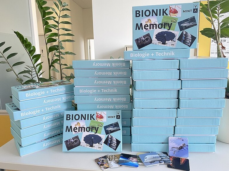 MINT Bionik Memory © Stadt Bregenz