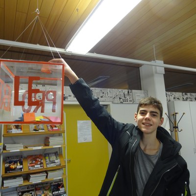 Lesewürfelprojekt (7).JPG