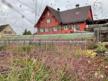 Blumen Bauer