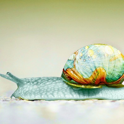 Was tun – mit unserem Haus?