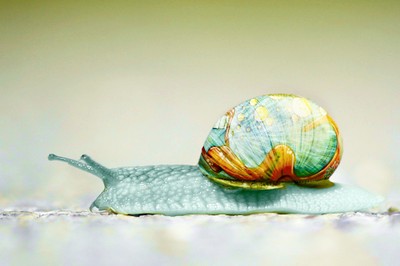 Was tun – mit unserem Haus?