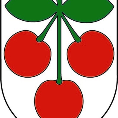 Fasnat
