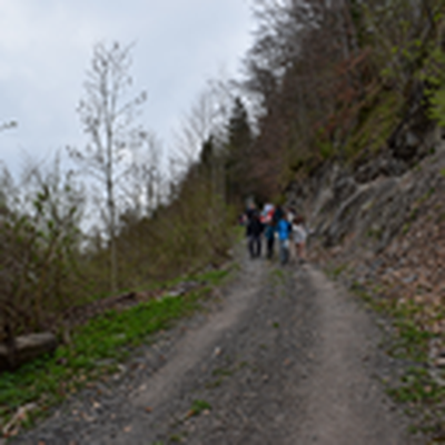 DSC_0296.JPG