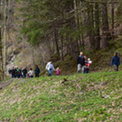DSC_0298.JPG