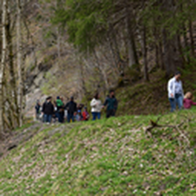 DSC_0299.JPG