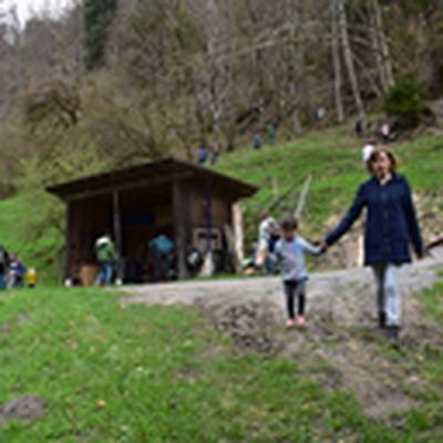 DSC_0315.JPG