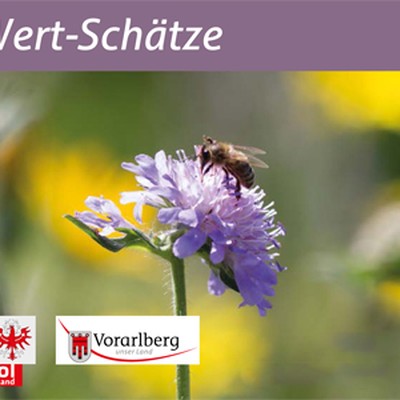 Wert-Schätze – Pflege-Schätze