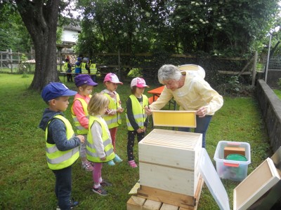 Besuch bei den Bienen