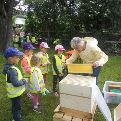 Besuch bei den Bienen