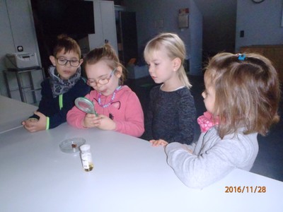 Der Kindergarten Markt in der Inatura