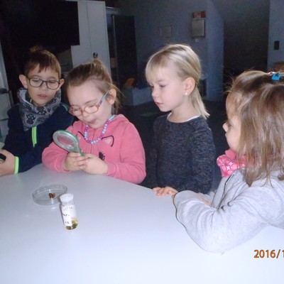 Der Kindergarten Markt in der Inatura