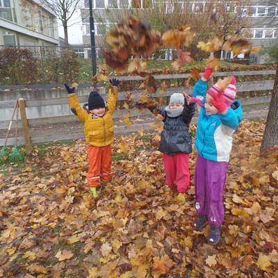 Wenn die bunten Blätter fallen!