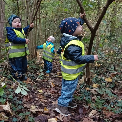 Das Kinderhaus Markt im Wald
