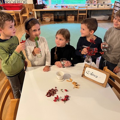 Kräuter im Kneipp-Kindergarten Montfort