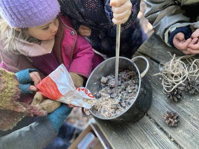 Vogelfütterung Vogelfütterung