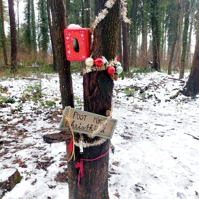 Weihnachtsglanz im Frutzwald