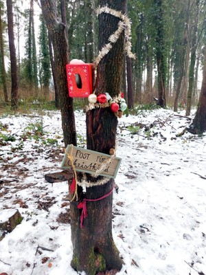 Weihnachtsglanz im Frutzwald Weihnachtsglanz im Frutzwald