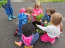 2016_Bifang_Garten 2.JPG