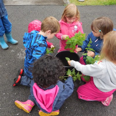 2016_Bifang_Garten 2.JPG