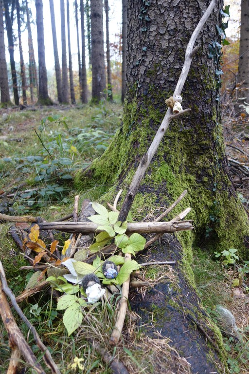 20211117Familie Putz im Wald Putzveruck.JPG