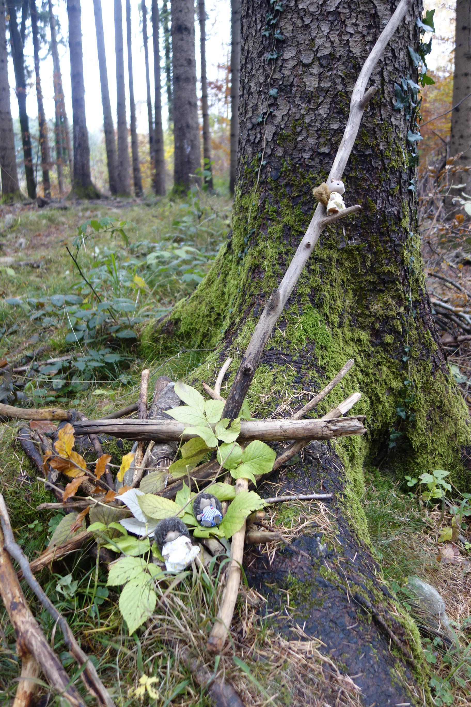 20211117Familie Putz im Wald Putzveruck.JPG