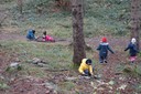20211117Waldtag.JPG