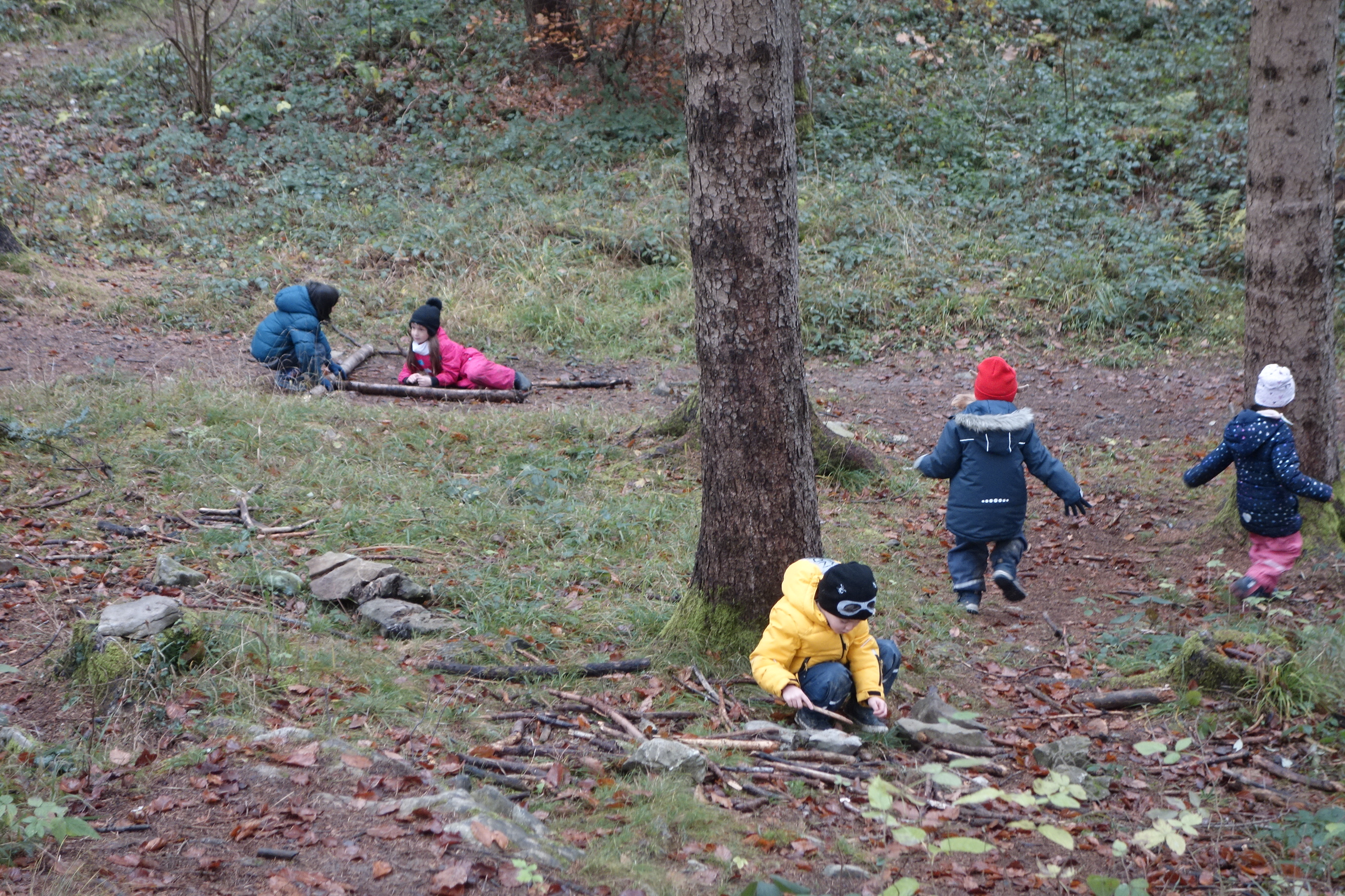 20211117Waldtag.JPG