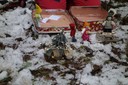 20211215 Weihnachten im Wichtelwald.JPG