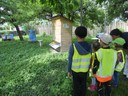 Auf den Spuren nach den Bienen (1).JPG