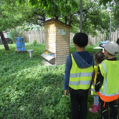 Auf den Spuren nach den Bienen (1).JPG