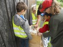 Auf den Spuren nach den Bienen (3).JPG