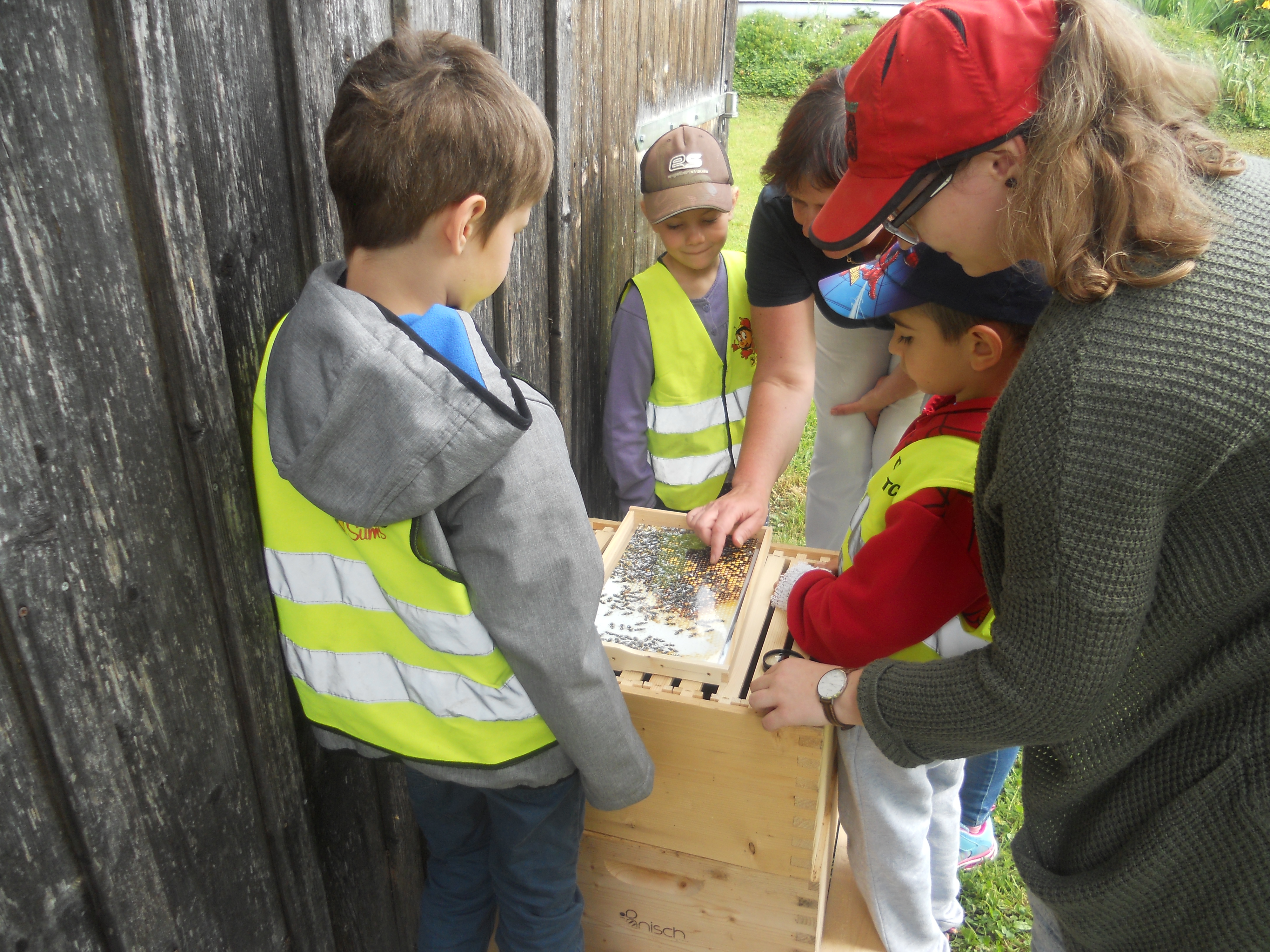 Auf den Spuren nach den Bienen (3).JPG