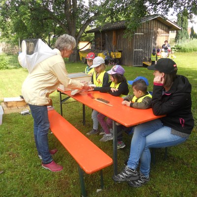 Auf den Spuren nach den Bienen (4).JPG
