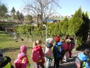 Doppelmayr Zoo (9).JPG