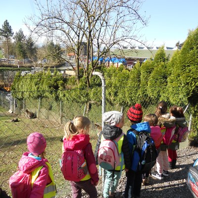 Doppelmayr Zoo (9).JPG