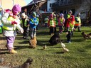 DSC00869.JPG