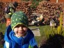 DSC00881.JPG