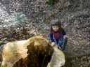 DSC01063.JPG