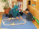 DSCN0923.JPG