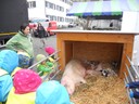 DSCN7095.JPG