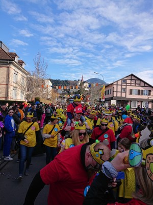 Faschingsumzug (1).jpg