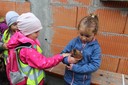 IMG_5495.JPG