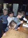 PB280037.JPG