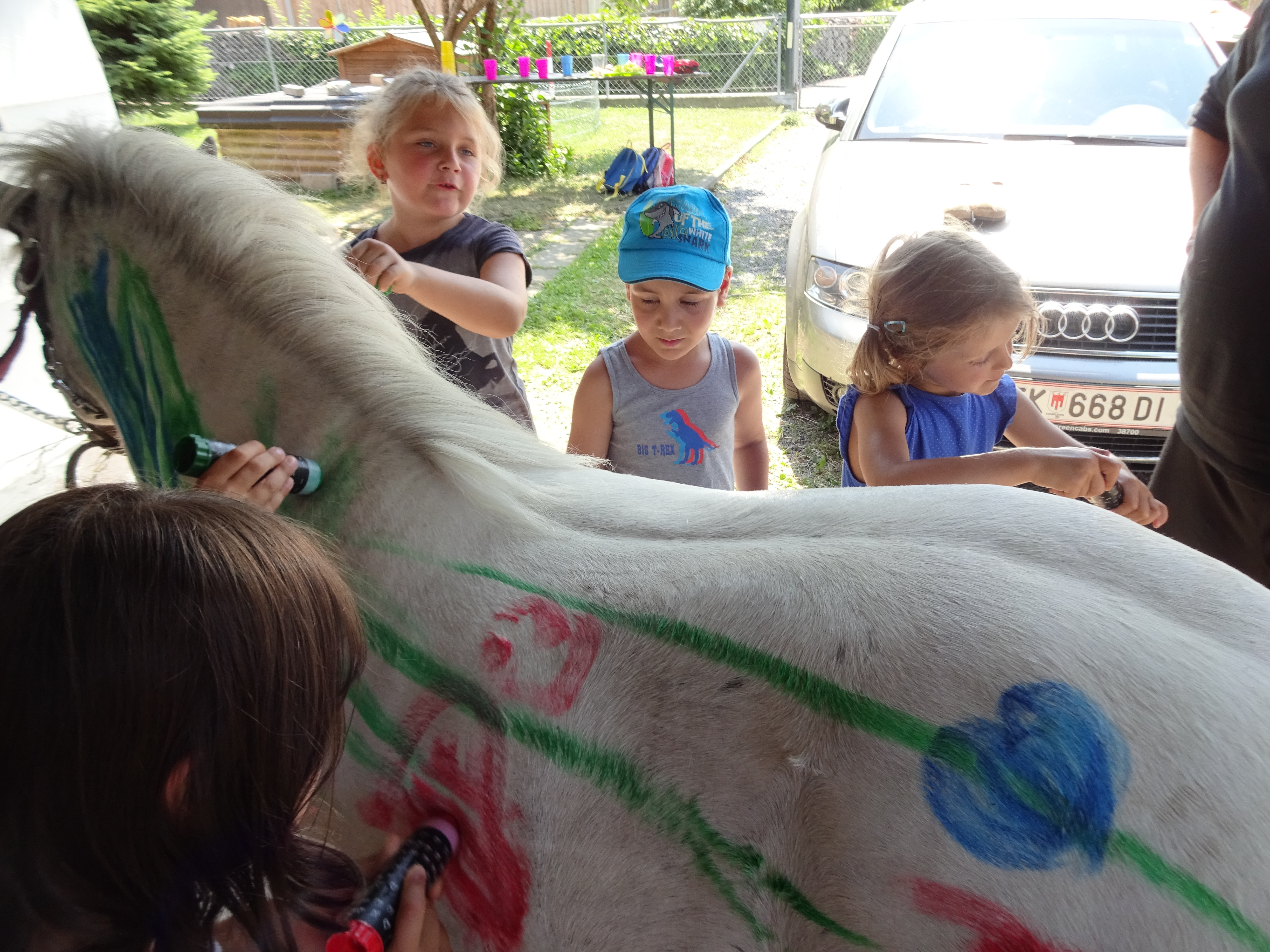 Pony malen (2).JPG