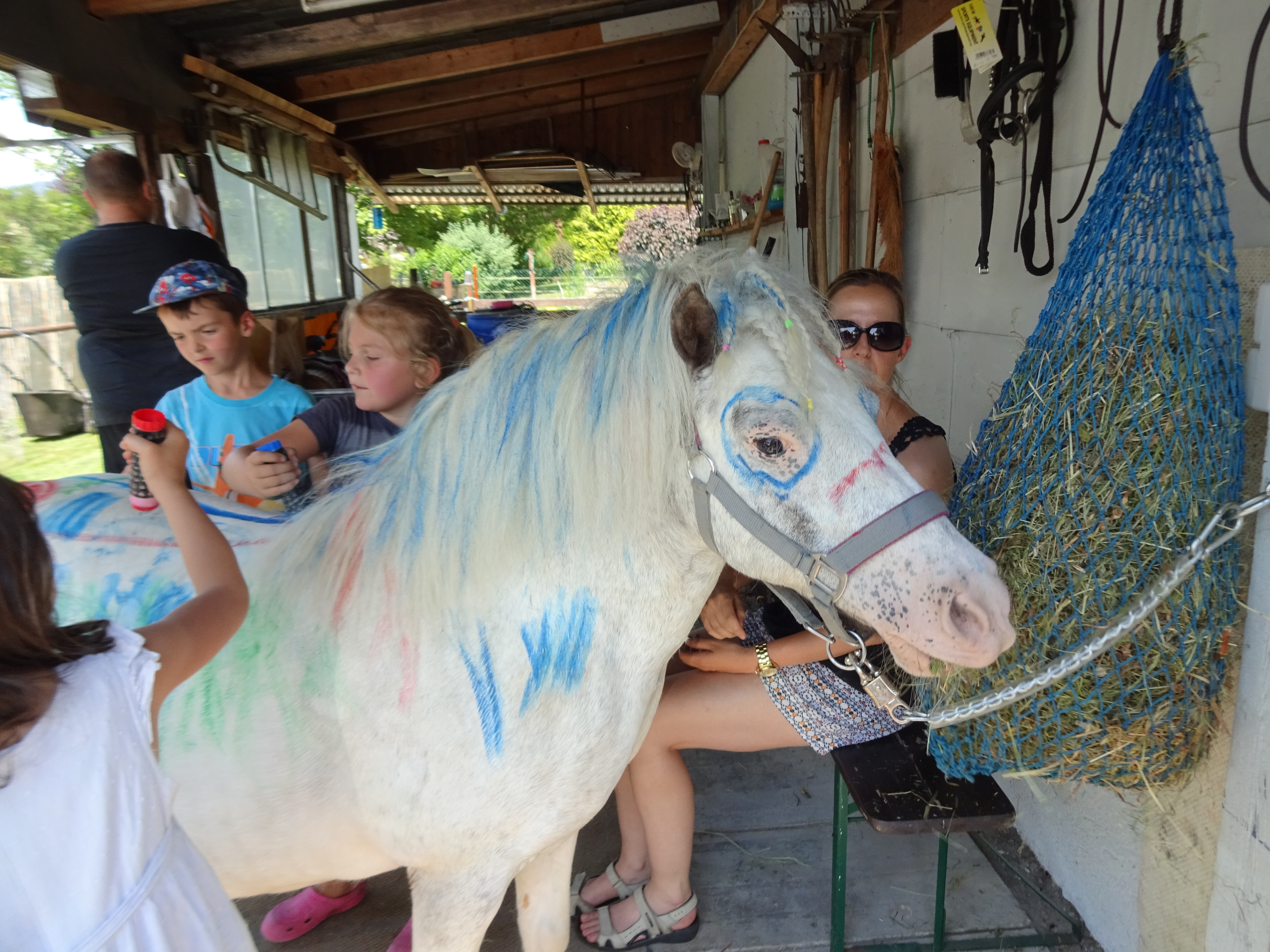 Pony malen (3).JPG