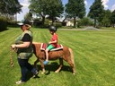 Ponyreiten (2).JPG