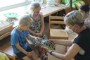 Schildkröte Willi (4).JPG