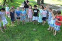 Schildkröte Willi (5).JPG