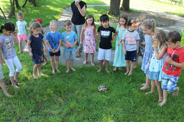 Schildkröte Willi (5).JPG