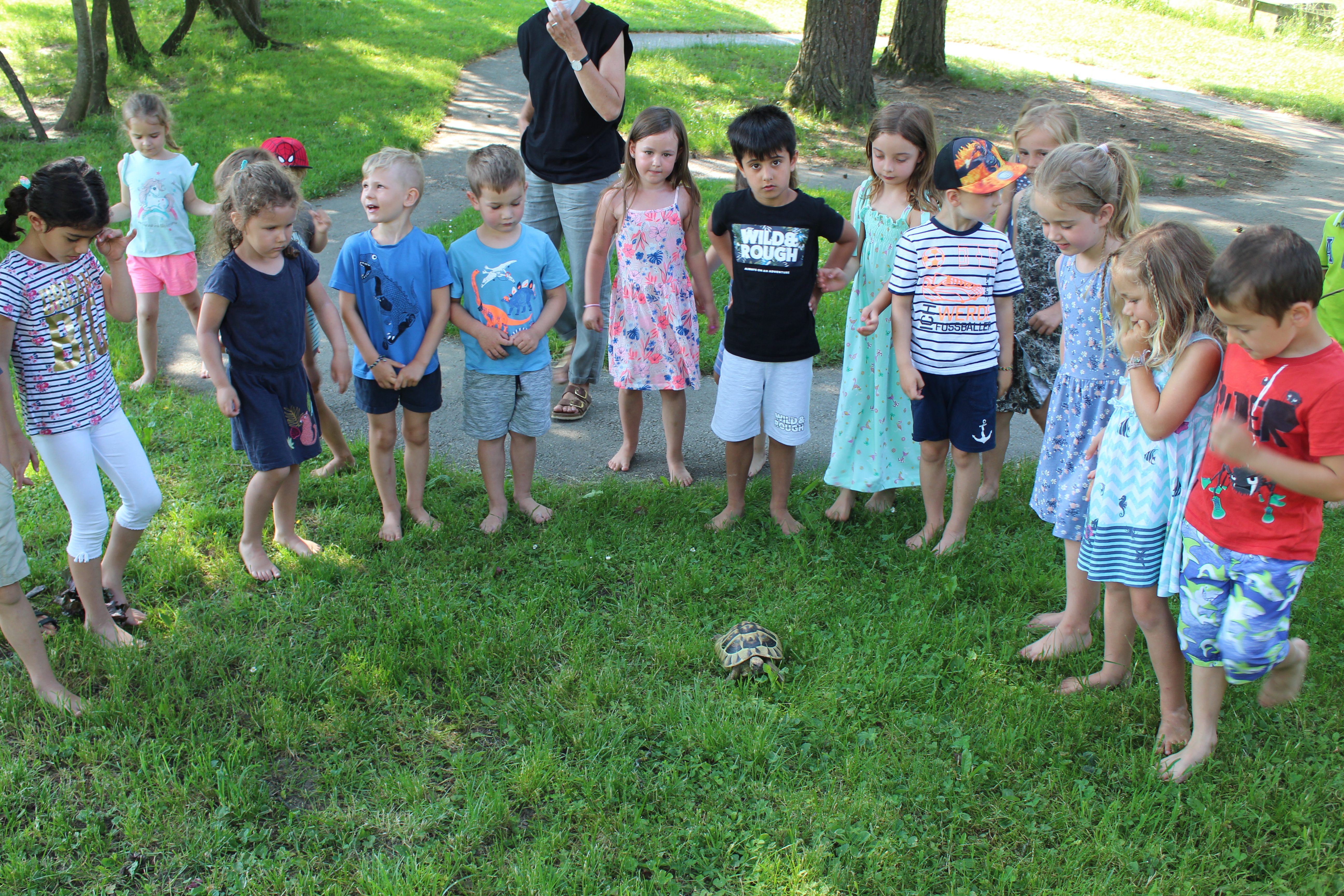 Schildkröte Willi (5).JPG